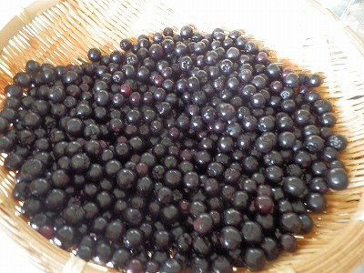 e0004756_20184420.jpg