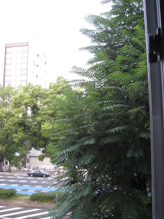 b0259063_19522138.jpg