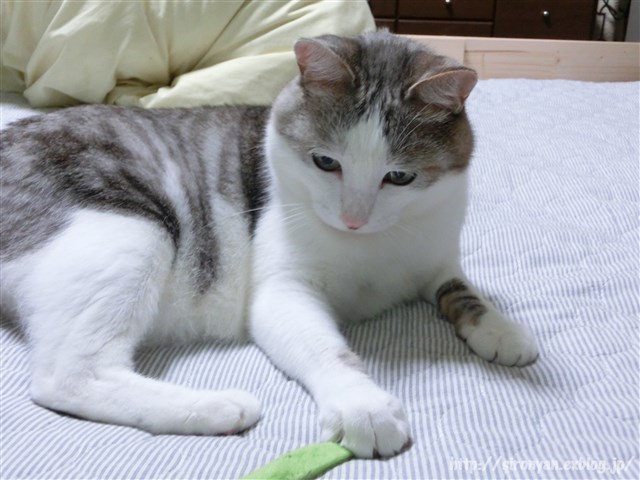 a0159490_14301873.jpg