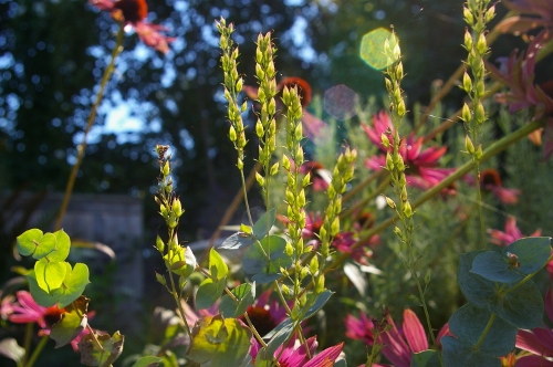 b0283192_22471488.jpg