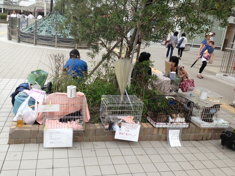 f0201297_737734.jpg