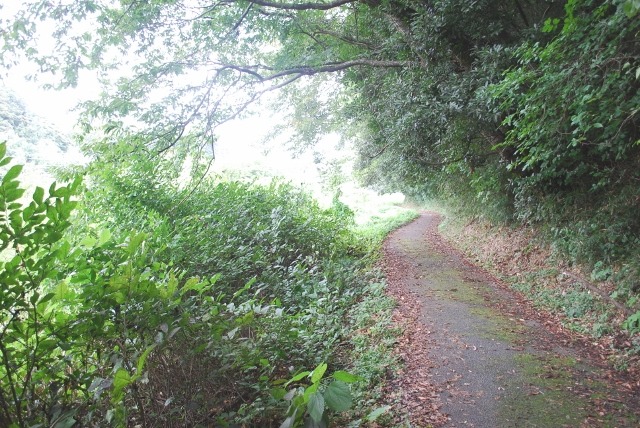 e0025300_15553363.jpg