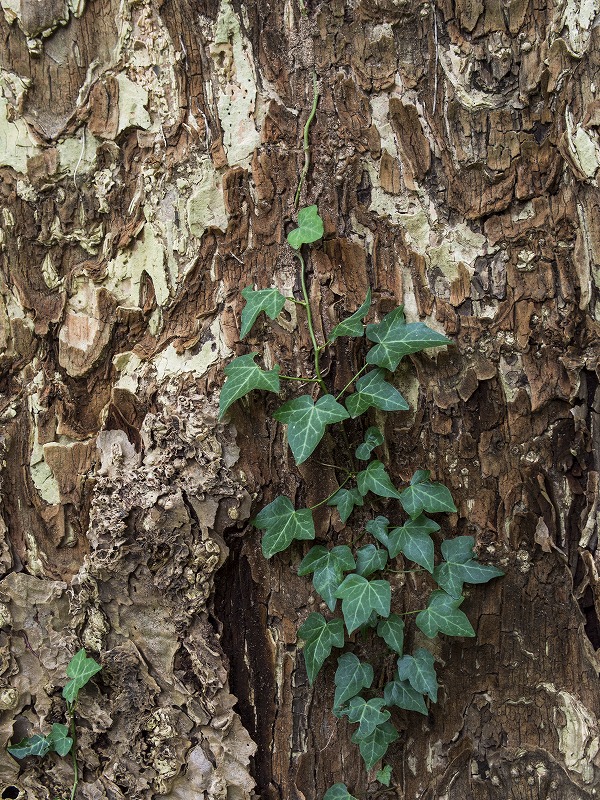 f0224100_21542075.jpg