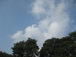 d0240201_11362177.jpg