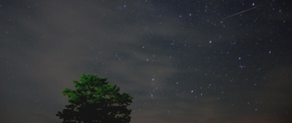 a0152009_0235995.jpg
