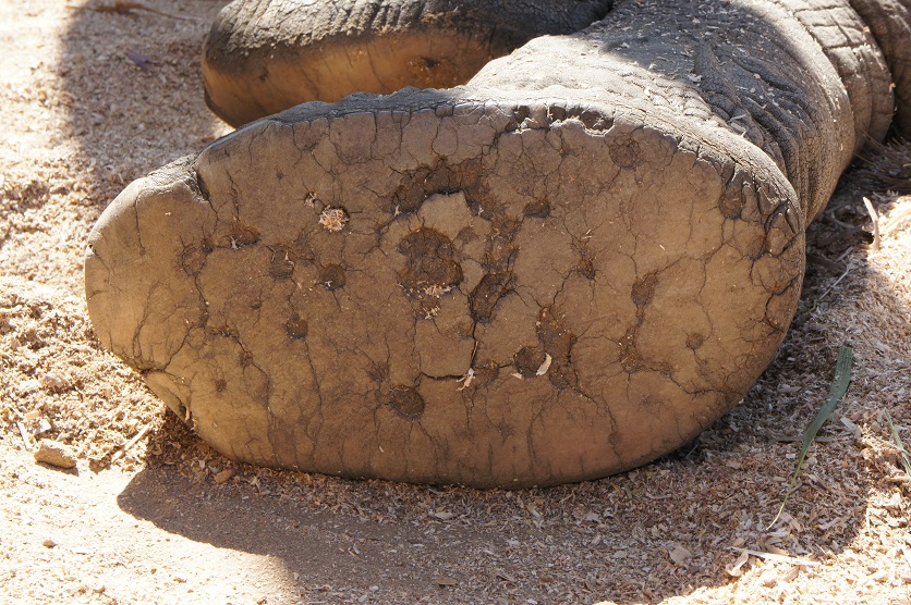 b0112909_11424625.jpg