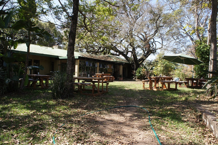 b0112909_1144826.jpg