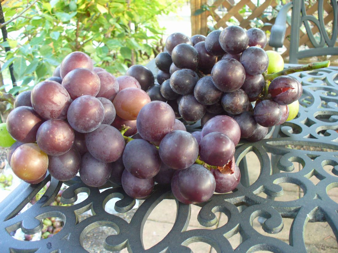 f0275632_2252770.jpg