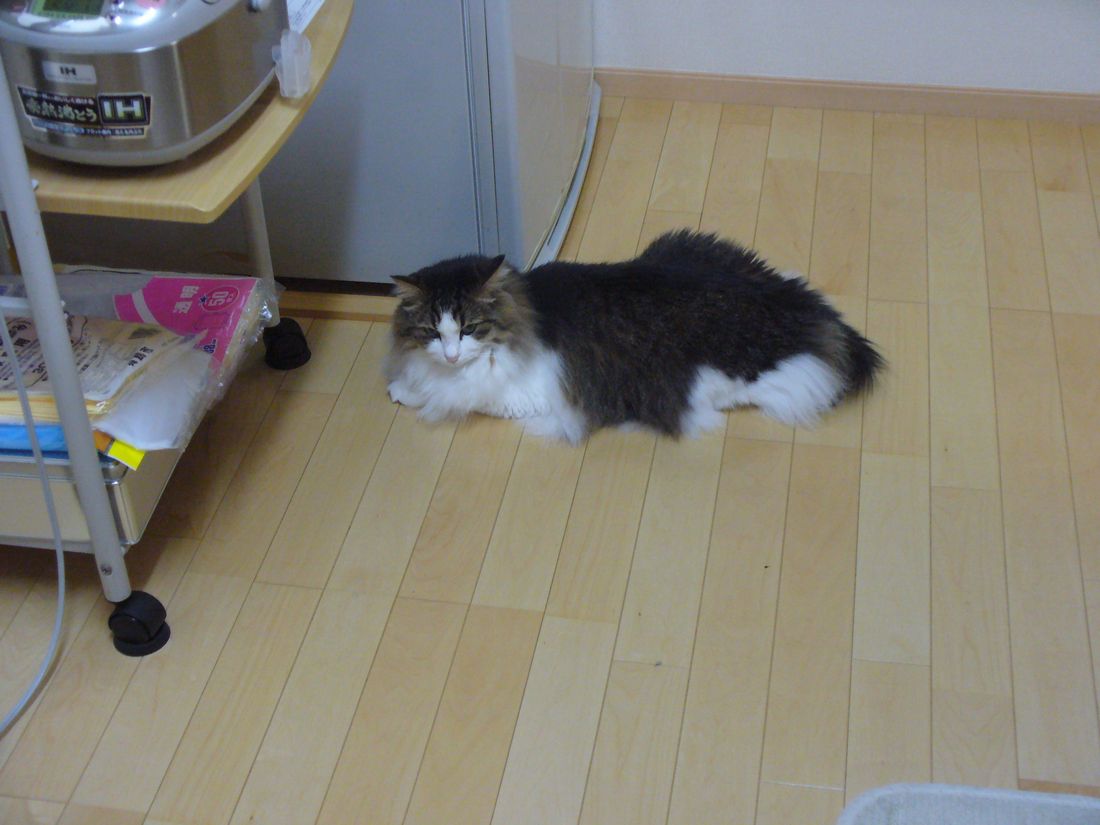f0275632_2259166.jpg