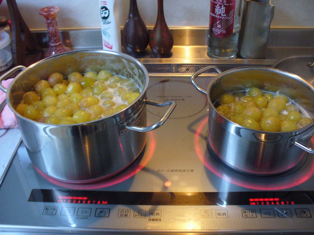 f0275632_2355491.jpg