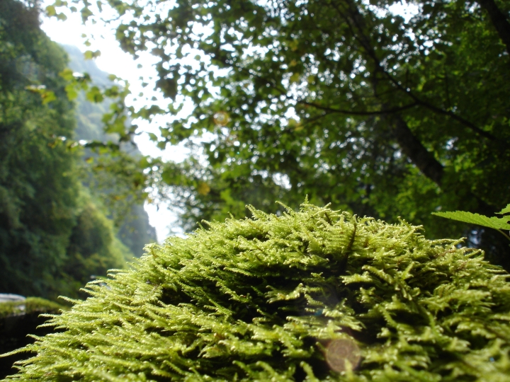 c0133133_1712625.jpg