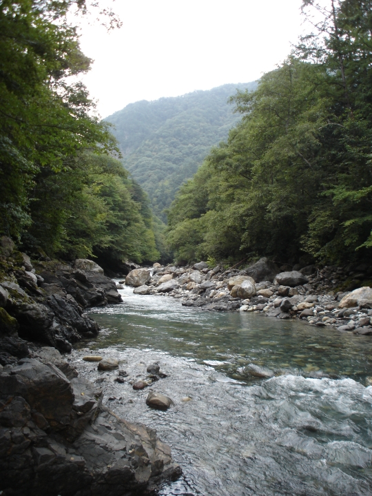 c0133133_172548.jpg