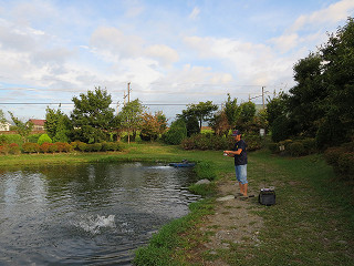f0065341_14311049.jpg