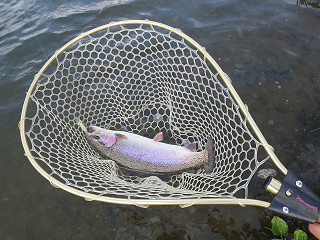 f0065341_14315383.jpg