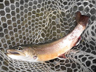 f0065341_14473582.jpg