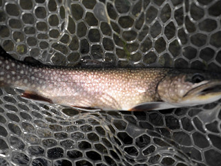 f0065341_1457657.jpg