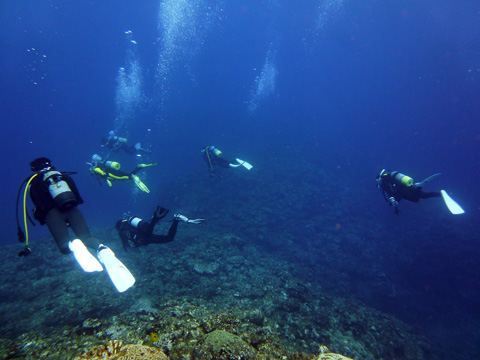 f0014842_20282260.jpg