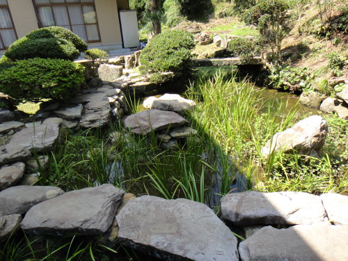 c0179351_10171872.jpg