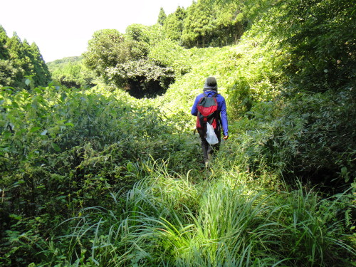 c0179351_10251985.jpg