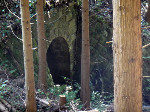 c0179351_10271511.jpg