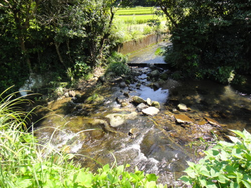 c0179351_10301664.jpg
