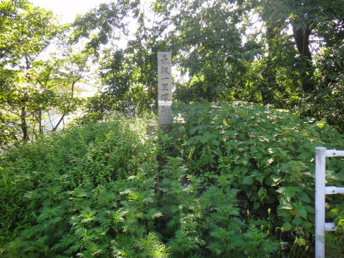 c0179351_10522595.jpg