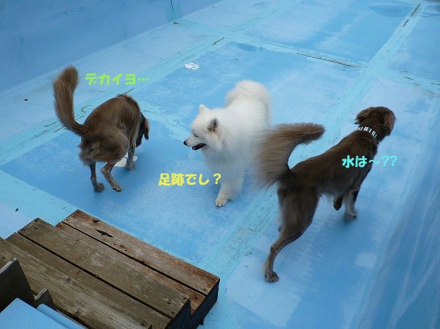 e0176159_14563416.jpg