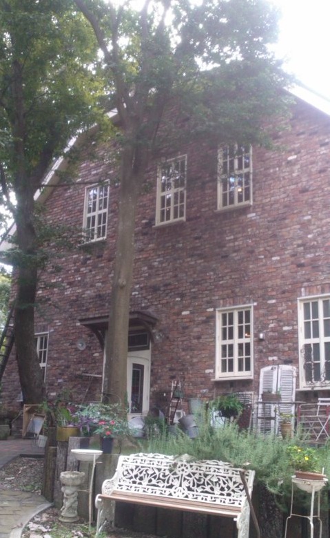 e0271461_19215892.jpg