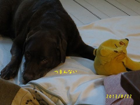 d0120665_20171570.jpg