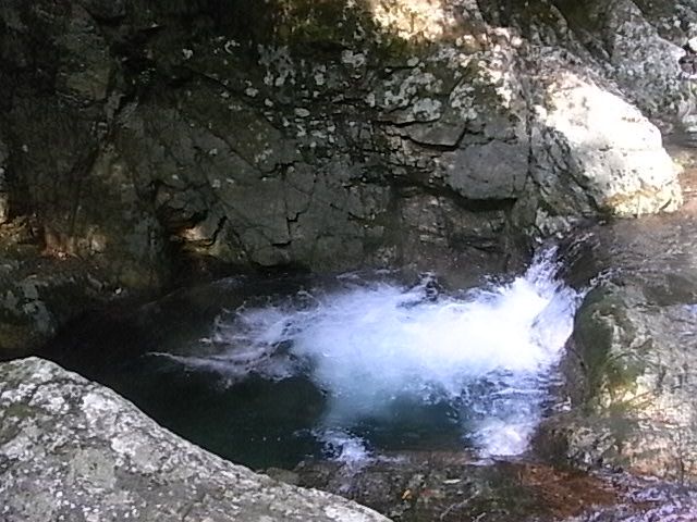 a0146070_647371.jpg