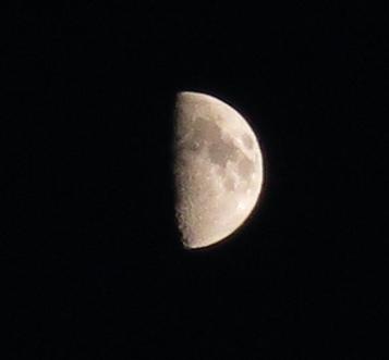 e0130185_19322440.jpg