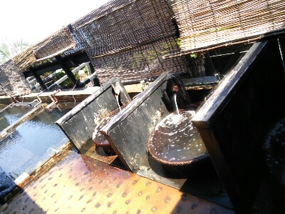 f0143386_19584374.jpg