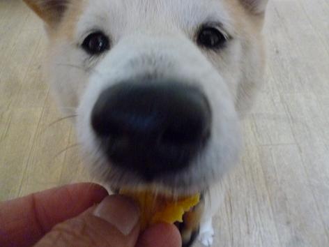 c0123890_2124918.jpg