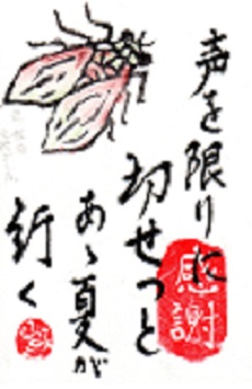 f0029393_56595.jpg