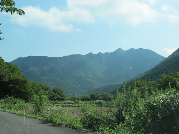 a0166196_17395525.jpg