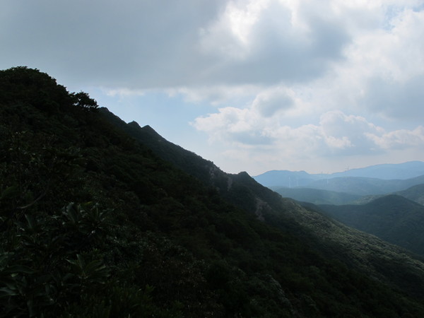a0166196_17475512.jpg