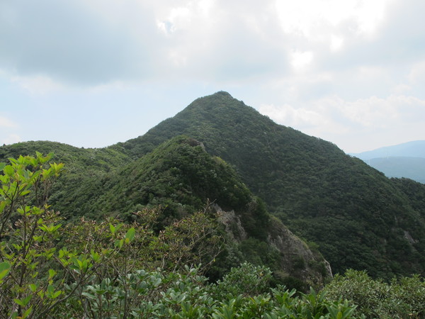 a0166196_17491028.jpg