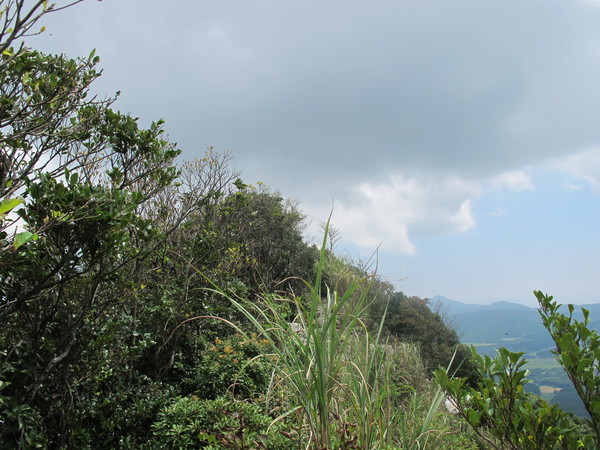 a0166196_17521661.jpg
