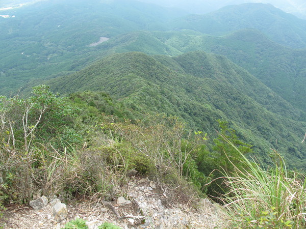 a0166196_17553712.jpg