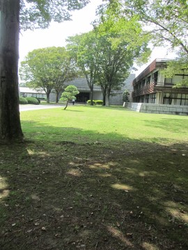 e0033301_1005458.jpg