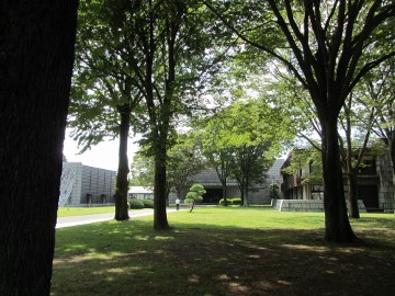 e0033301_9401479.jpg