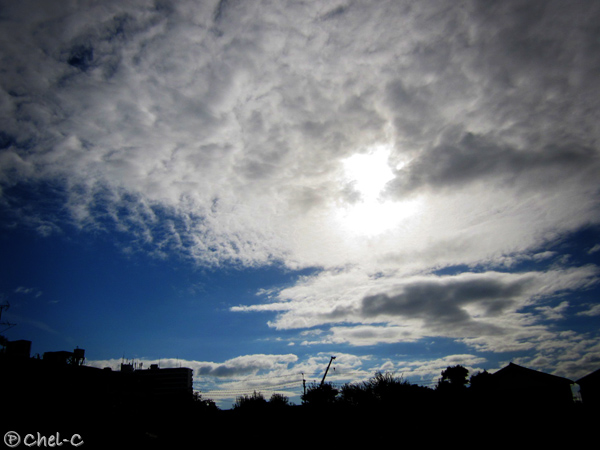 a0154706_932029.jpg