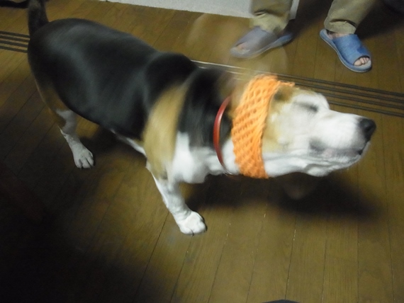 c0205806_22592268.jpg