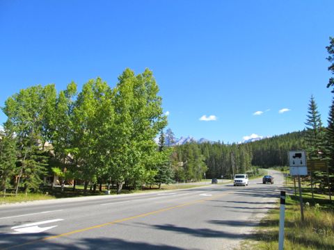 b0051109_839161.jpg