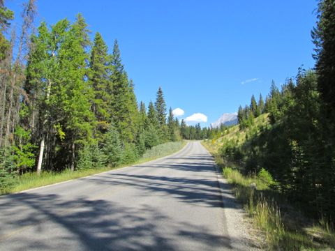 b0051109_8421787.jpg