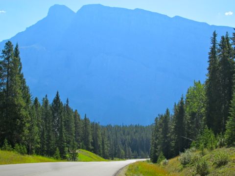 b0051109_849723.jpg
