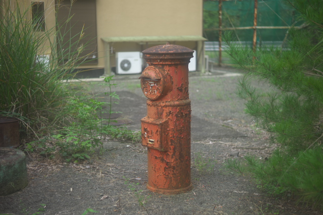d0143011_159196.jpg