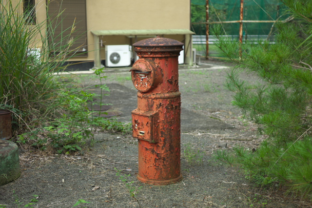 d0143011_1593832.jpg