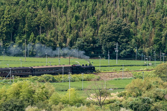 f0229311_2255729.jpg