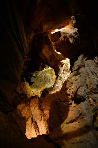 f0046614_1613593.jpg